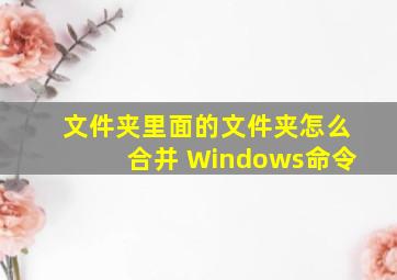 文件夹里面的文件夹怎么合并 Windows命令